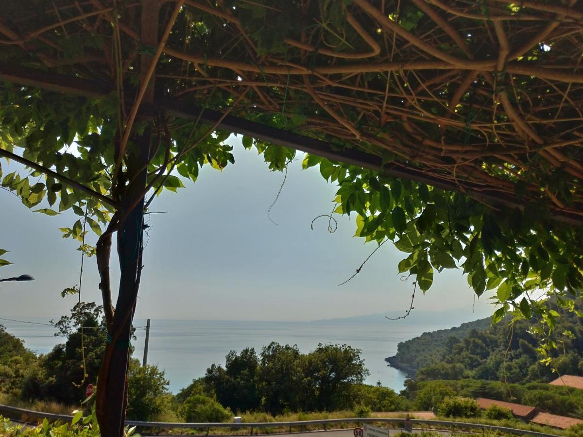 Bed & Breakfast Laino Maratea Dış mekan fotoğraf