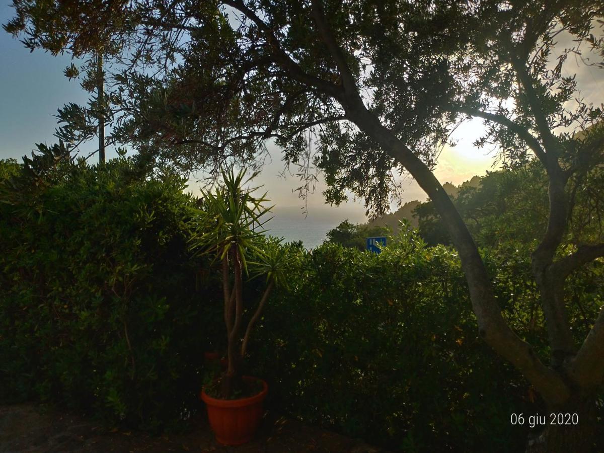 Bed & Breakfast Laino Maratea Dış mekan fotoğraf